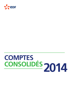 Les comptes consolidÃ©s au 31 dÃ©cembre 2014 (PDF