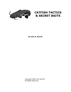 Catfish Tactics & Secret Baits ( file)