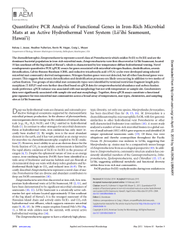 QPCR Analysis of Functional Genes in Iron