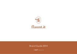 Flauntit Brand Manual by Firefish