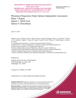 Plutonium Disposition Study Options Independent Assessment