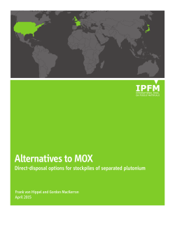 Alternatives to MOX - International Panel on Fissile Materials