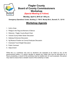 Workshop Agenda - Flagler County