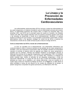 La Linaza y la PrevenciÃ³n de Enfermedades Cardiovasculares