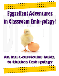 Eggcellent Adventures in Classroom Enbryology