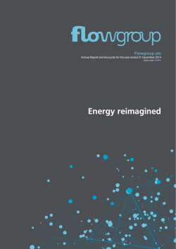Flowgroup annual report 2014