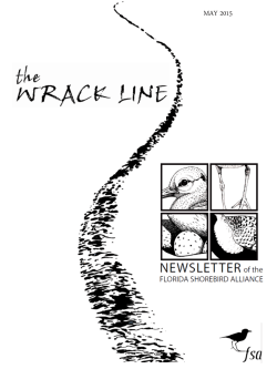 May 2015 Wrack Line - Florida Shorebird Alliance