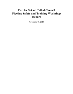 CSTC Pipeline Safety Report - First Nations LNG Strategy