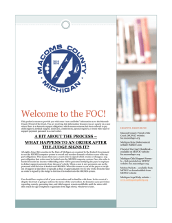 Welcome to the Friend of the Court Packet for New Cases