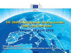 EU 2030 Climate and Energy Goals