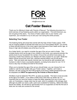 Cat Foster Basics - Friends of Rescue