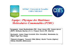 Equipe : Physique des MatÃ©riaux MolÃ©culaires Commutables (P2MC)