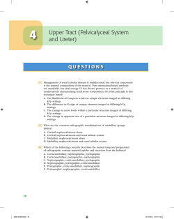 Chapter 4: Upper Tract (Pelvicalyceal System and Ureter)