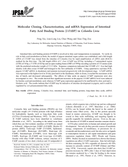 Molecular Cloning, Characterization, and mRNA Expression of