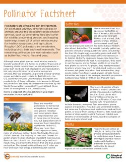 Pollinator Factsheet - Amazon Web Services