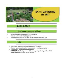 Gardening Lesson Plan Day 5