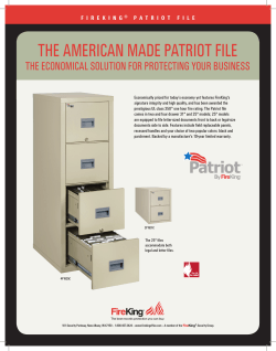 THE AMERICAN MADE PATRIOT FILE