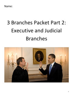3 Branches Packet Part 2: Executive and Judicial Branches