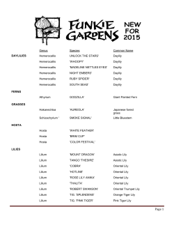 NEW Plants for 2015