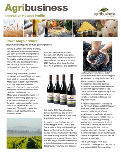 Brown Magpie Wines Innovation Hotspot Profile