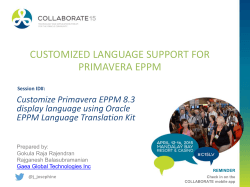 Customized Language Support for Primavera EPPM