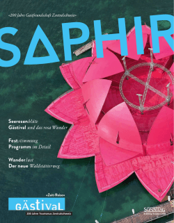 Zeit-Reise Magazin II (Saphir)