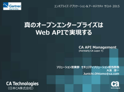 CA API Management
