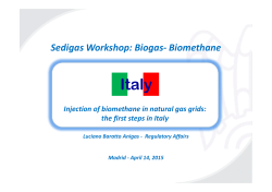 Sedigas Workshop: Biogas- Biomethane