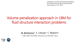 Volume penalization approach in LBM for fluid structure interaction