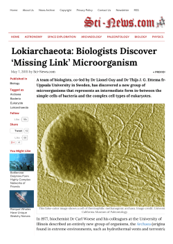 Lokiarchaeota: Biologists Discover `Missing Link` Microorganism