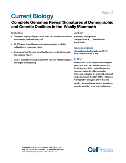 Complete Genomes Reveal Signatures of Demographic and