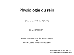 Cours : Physiologie du rein