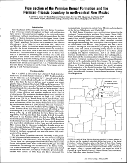 Type section - New Mexico Bureau of Mines and Mineral Resources