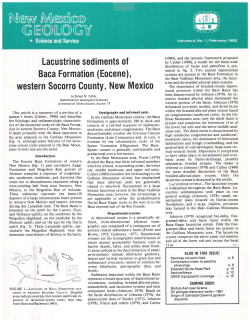 Lacustrine sediments of Baca Formation (Eocene), western Socorro
