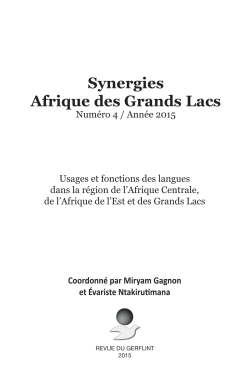 Synergies Afrique des Grands Lacs