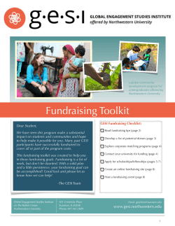 GESI Fundraising Toolkit 2015