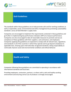 GeSI Guidelines Health and Safety
