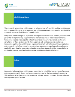 GeSI Guidelines Labor