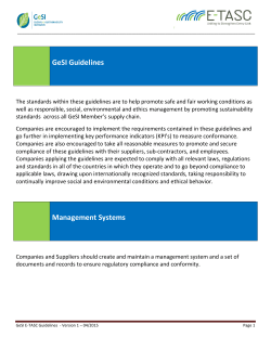 GeSI Management System Guidelines