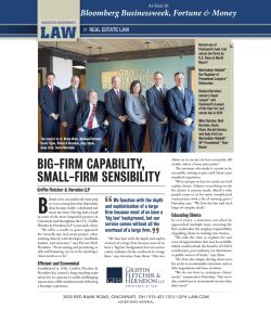 big-firm capability, small-firm sensibility