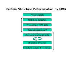 Protein Structure Determination by NMR