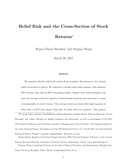 Belief Risk and the Cross-Section of Stock Returns