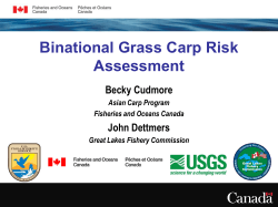 DFO risk assessment - Great Lakes Commission