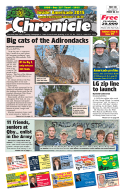 Big cats of the Adirondacks