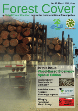 high resolution PDF - Global Forest Coalition