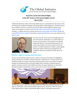 Economic, Social and Cultural Rights at the 28th session of the