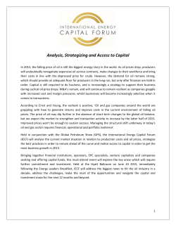 Analysis, Strategizing and Access to Capital
