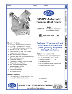 3850PF Automatic Frozen Meat Slicer