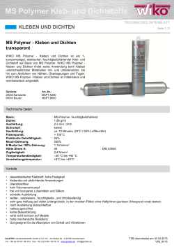 MS Polymer Kleben- und Dichten Transparent TDB V05