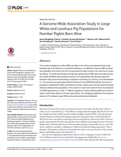 A Genome-Wide Association Study in Large White and Landrace